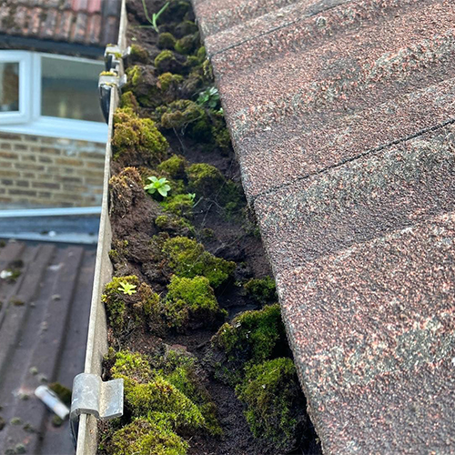 Gutter Cleaning Services West Drayton After