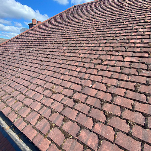 Roof Cleaning West Drayton