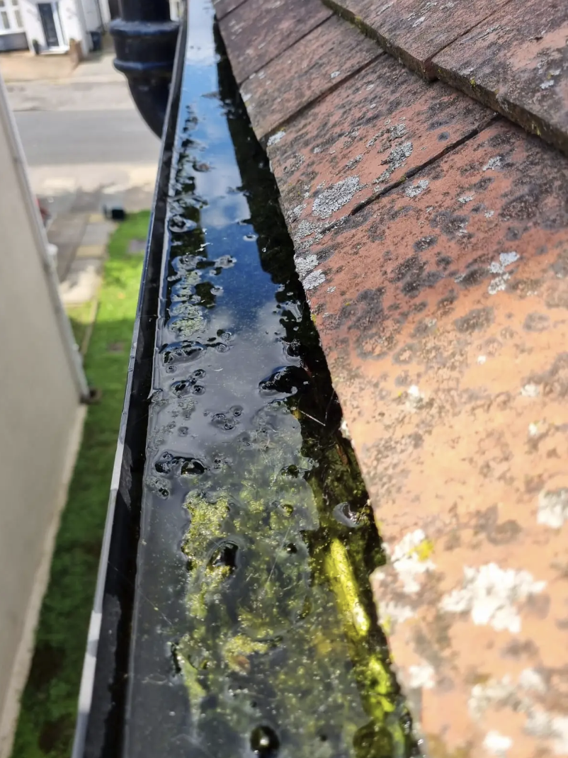 Gutter Cleaning Ealing Before 1