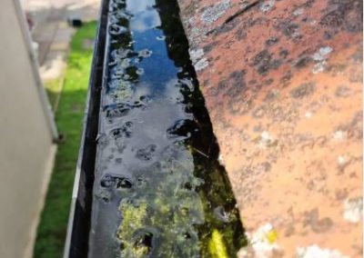 Gutter Cleaning Slough After 2